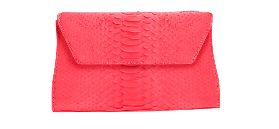 Celine Python Clutch